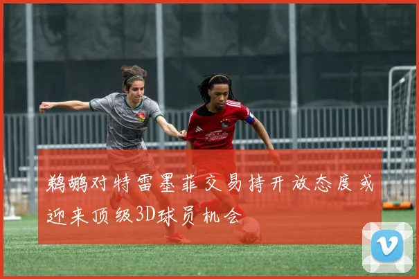 鹈鹕对特雷墨菲交易持开放态度或迎来顶级3D球员机会