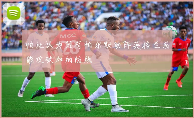 帕杜认为若有帕尔默助阵英格兰或能攻破加纳防线
