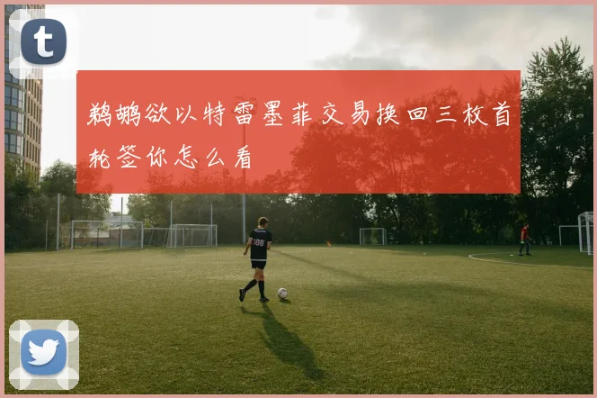 鹈鹕欲以特雷墨菲交易换回三枚首轮签你怎么看
